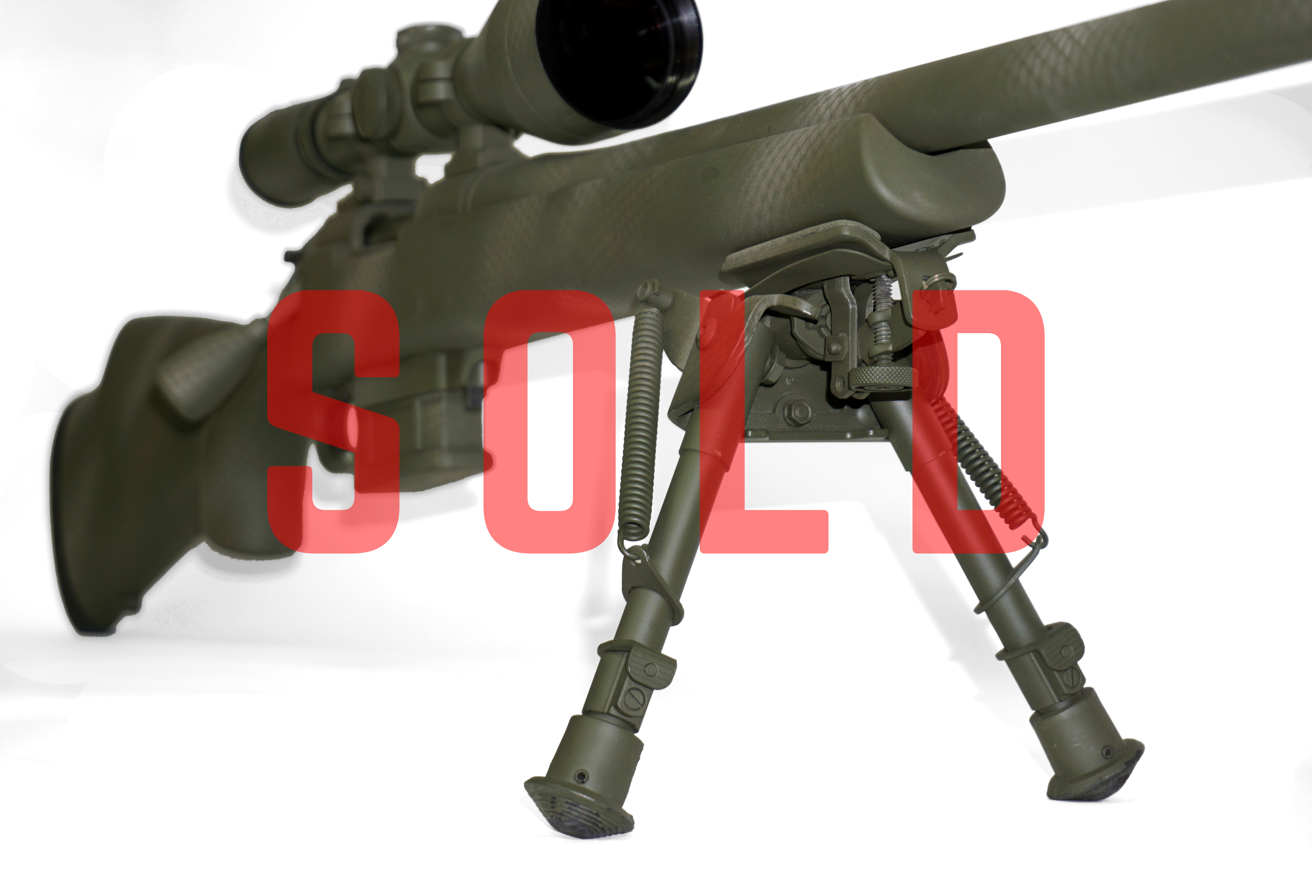 'Hybrid Hunter' Custom Rifle 'Hybrid Hunter' Custom Rifle